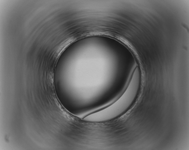X0000103440809200809191723