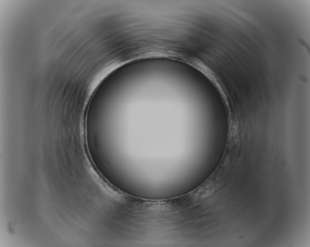 X0000103440811200809191723