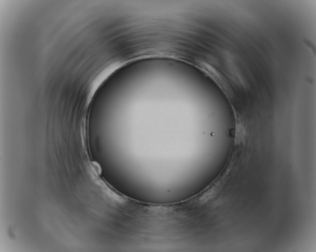 X0000103440812200809191723