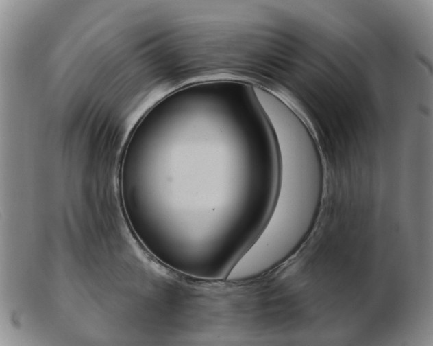 X0000103440813200809191723