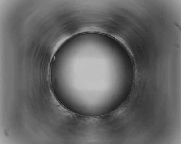 X0000103440815200809191723