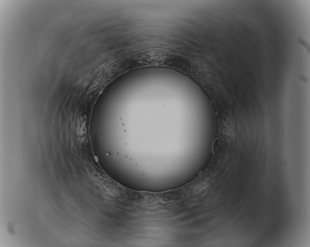 X0000103440818200809191723