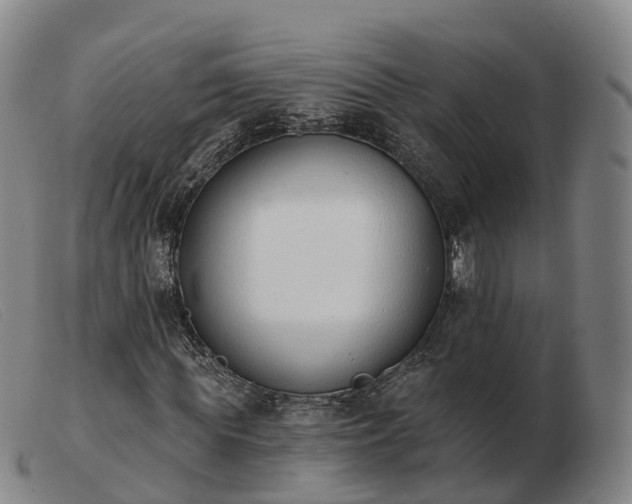 X0000103440819200809191723