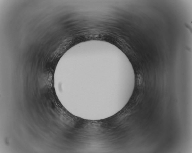 X0000103440820200809191723