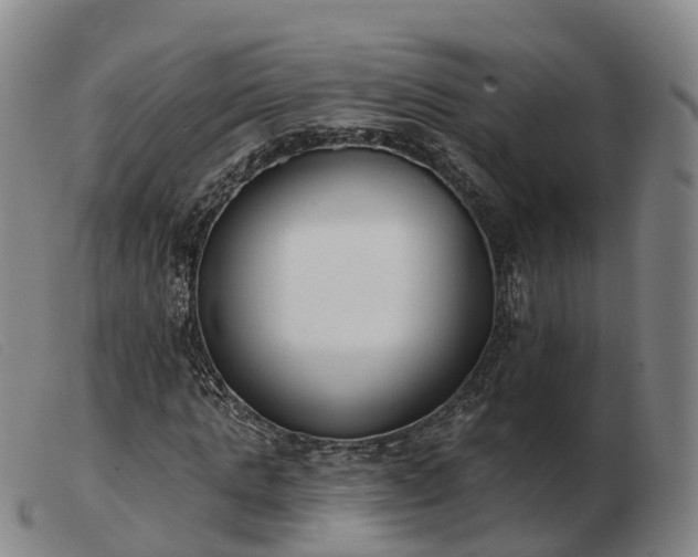 X0000103440821200809191723