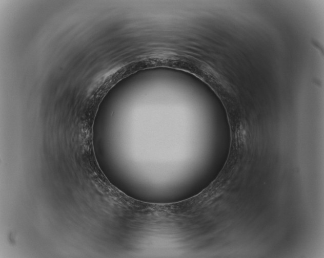 X0000103440822200809191723
