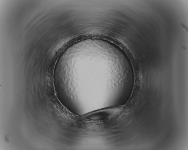 X0000103440823200809191723