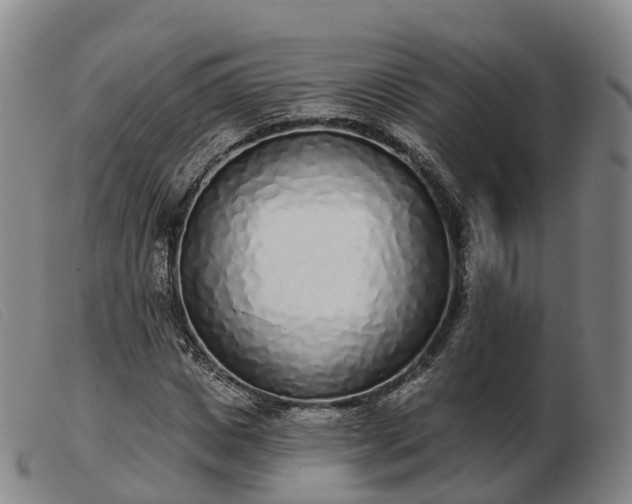 X0000103440825200809191723