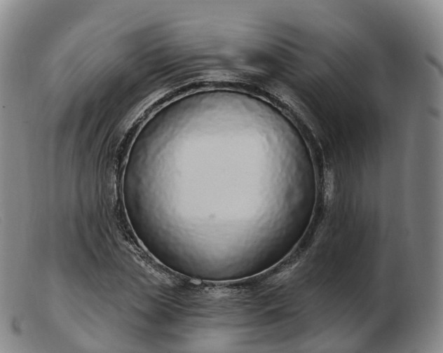 X0000103440829200809191723