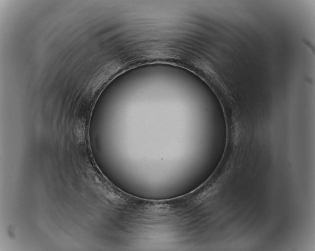 X0000103440833200809191723