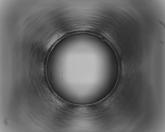 X0000103440834200809191723