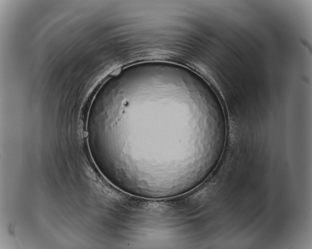 X0000103440835200809191723