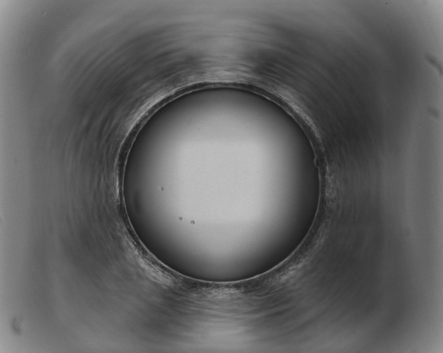 X0000103440837200809191723