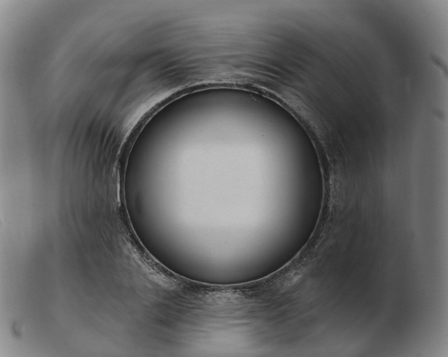 X0000103440838200809191723