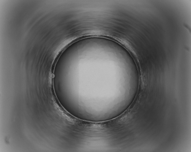 X0000103440839200809191723