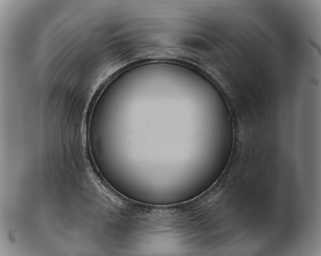 X0000103440840200809191723