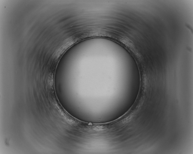 X0000103440841200809191723