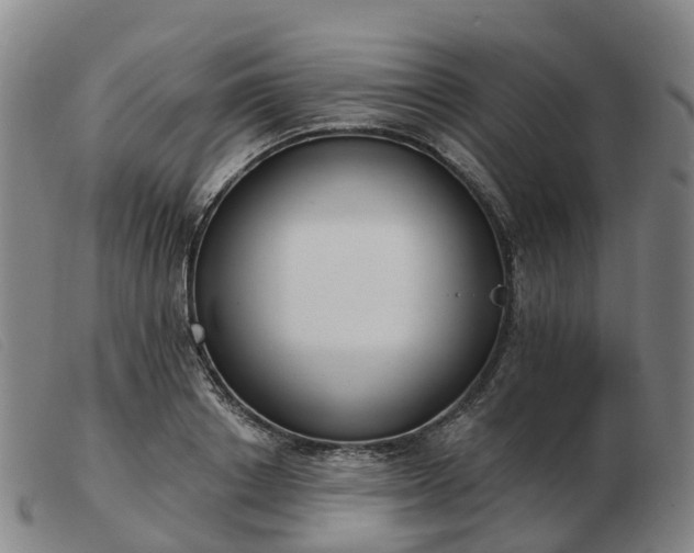 X0000103440842200809191723
