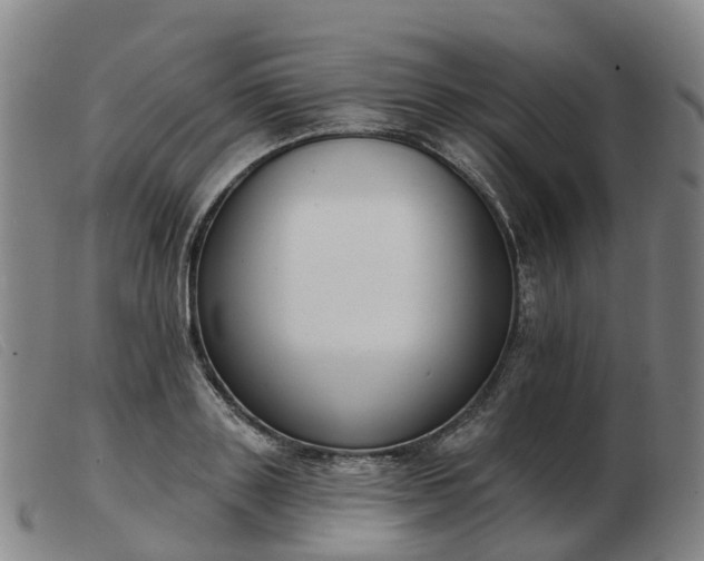 X0000103440843200809191723