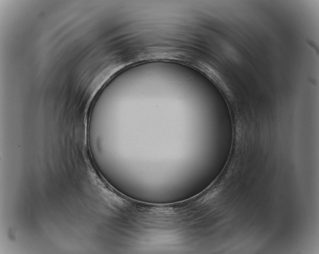 X0000103440844200809191723