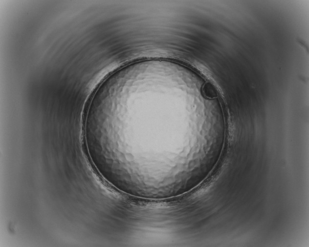 X0000103440845200809191723