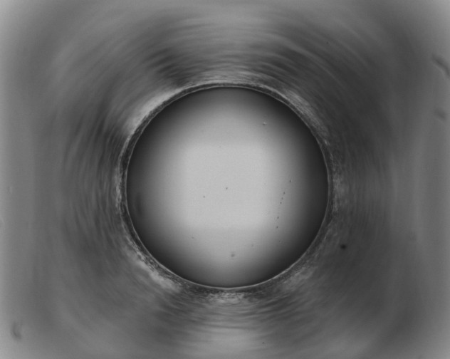 X0000103440846200809191723