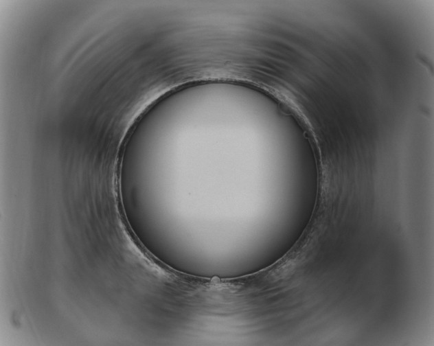 X0000103440847200809191723