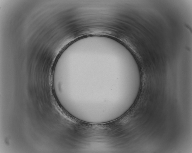 X0000103440848200809191723