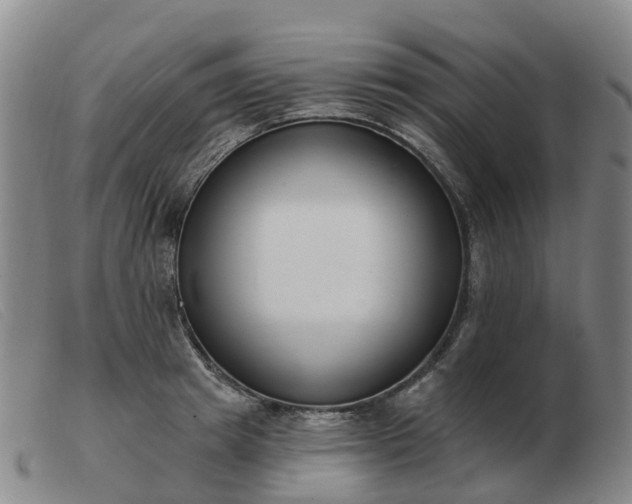 X0000103440849200809191723