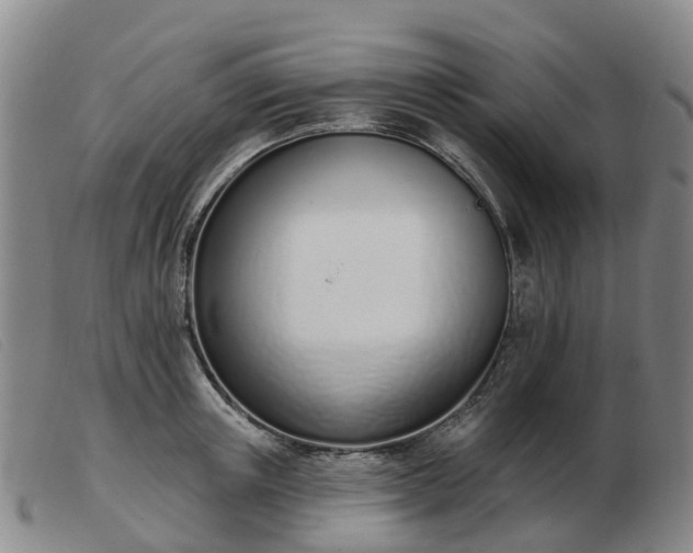 X0000103440851200809191723