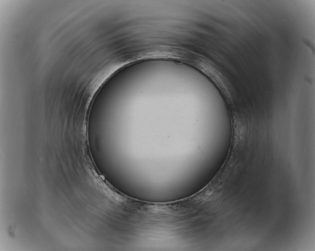 X0000103440852200809191723