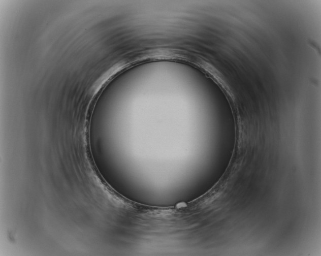 X0000103440853200809191723
