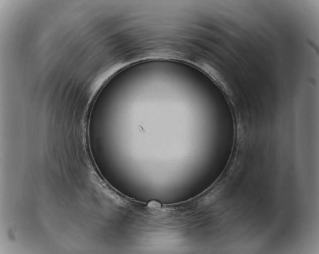 X0000103440854200809191723