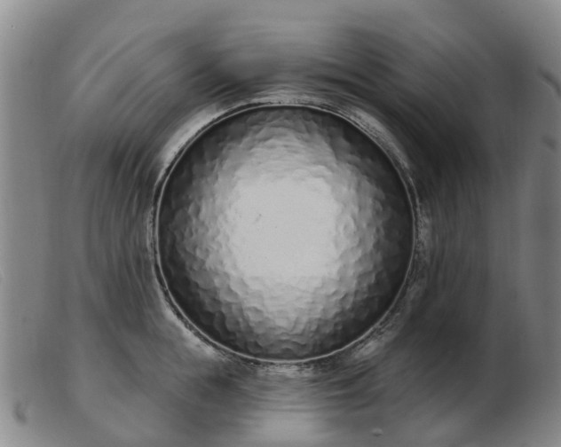 X0000103440855200809191723