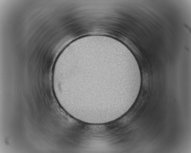 X0000103440856200809191723