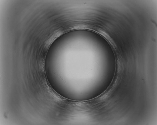 X0000103440857200809191723