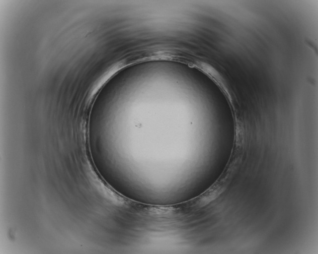 X0000103440859200809191723