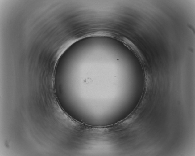X0000103440860200809191723