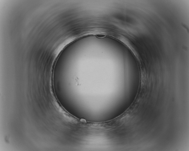 X0000103440861200809191723