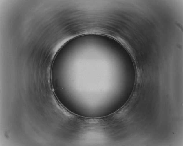 X0000103440862200809191723