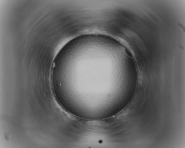 X0000103440863200809191723