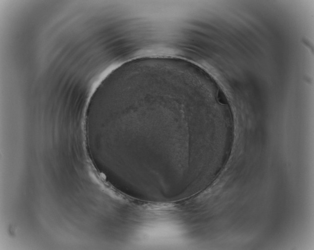 X0000103440864200809191723