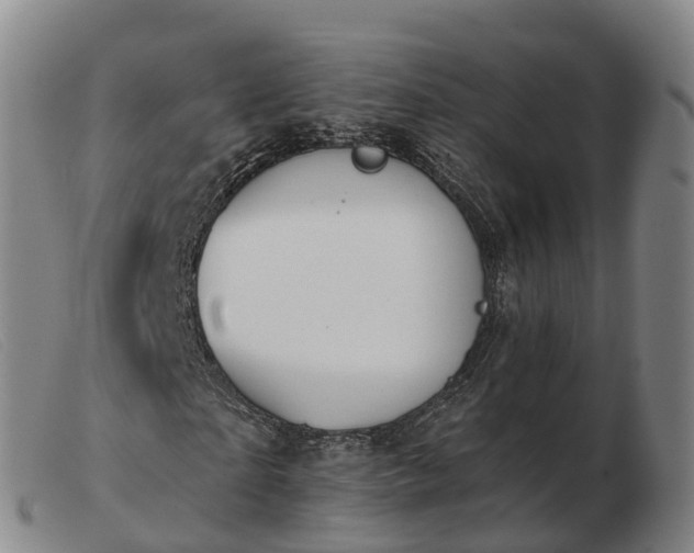 X0000103440865200809191723