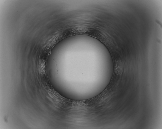 X0000103440866200809191722