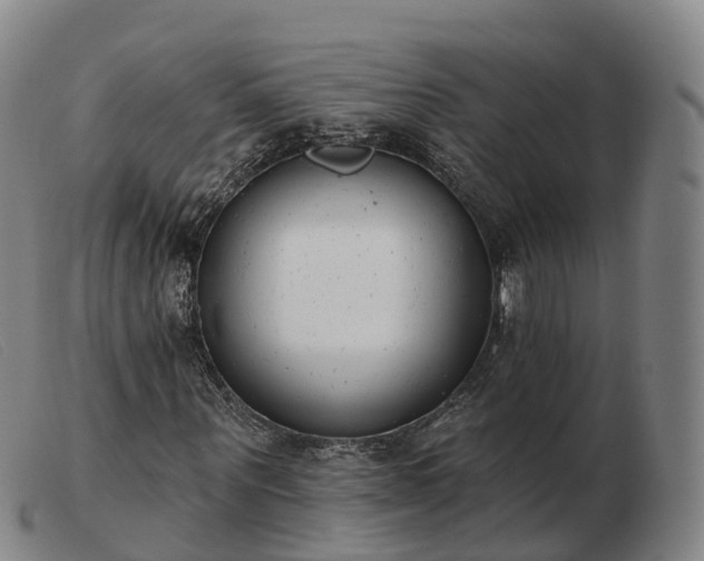 X0000103440867200809191722