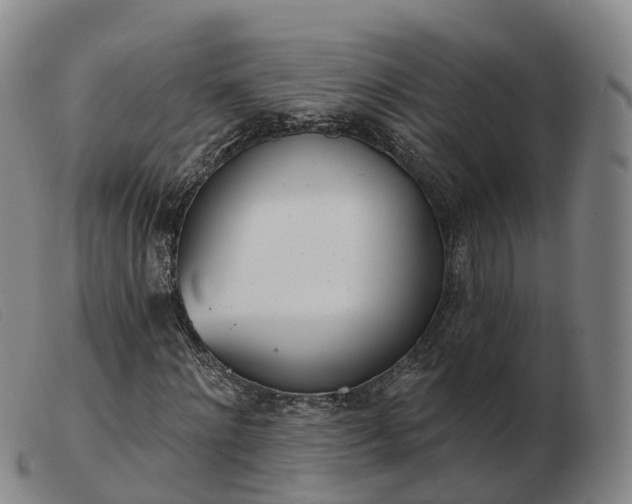 X0000103440868200809191722