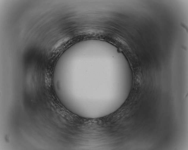 X0000103440869200809191722
