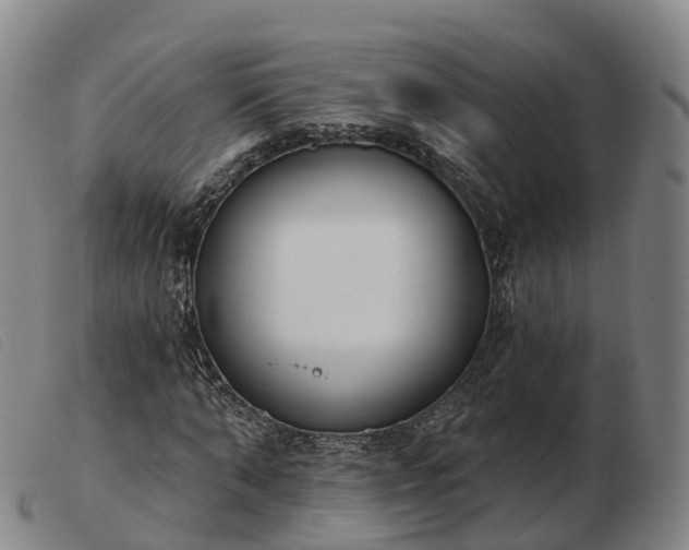 X0000103440870200809191722
