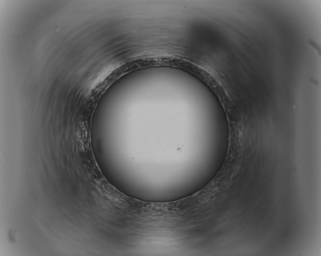 X0000103440871200809191722
