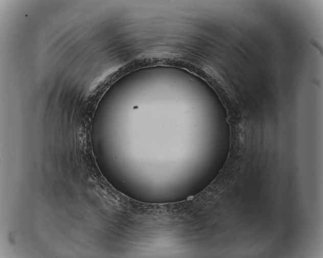 X0000103440872200809191722